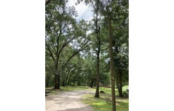 E PINE AVENUE, MOUNT DORA, FL 32757