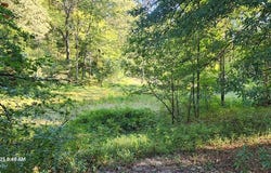 Blackberry Rd, CAMDEN, TN 38320