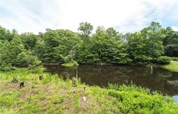 1068 Nathan Lane, Pinnacle, NC 27043