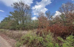 Brown Lane, Ozark, AR 72949