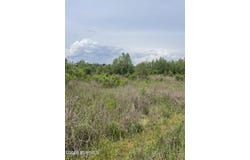 Davis Ishee Road, DeKalb, MS 39328