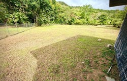 Cayey, Cayey, PR 00736