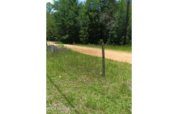 147 2ND Way, Interlachen, FL 32148