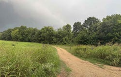 463 County Road 352, Piggott, AR 72454