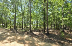 800 Grady Garner Rd (4.9 acres), Slocomb, AL 36375