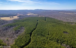 Airport Rd, Rockwood, TN 37854