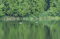 Russell Lake Road lot: 4 & 5, Linneus, ME 04730