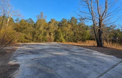 14175 SE 209TH Terrace, UMATILLA, FL 32784