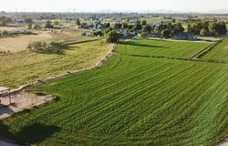 2955 W 1900 N, Plain City, UT 84404