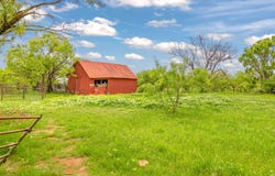 CR 133, Moran, TX 76464