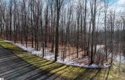 158 Forest Highlands, Bellaire, MI 49615