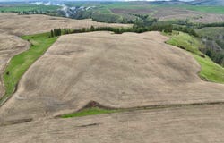 Younger Rd, Craigmont, ID 83523