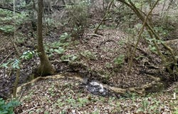 Fools Acre Road, Jackson, AL 36545