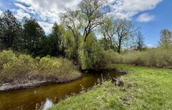4179 E White River Drive, Hesperia, MI 49421