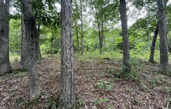 Partridge Drive, Climax Springs, MO 65324