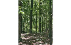 L42a & 43a Eaglecrest Road, Cape Fair, MO 65624
