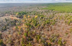 34 Tram Trail, Rattan, OK 74562