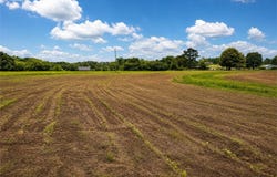 44 acres County Road 83, Centre, AL 35960