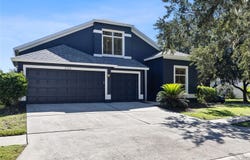6020 MARTINGLADE Place, LITHIA, FL 33547