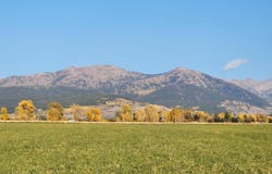 1753 FOXTAIL Drive, Driggs, ID 83422