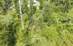 183RD RD, Live Oak, FL 32060