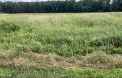 Tumbling Creek, GLEASON, TN 38229