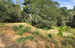 Private Road, Big Sandy, TX 75755