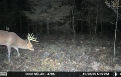 TBD Varvel Road, Willow Springs, MO 65793