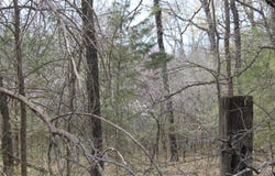Whispering Oaks Road, Tecumseh, OK 74873