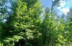 Doe Lane, Dover, AR 72837