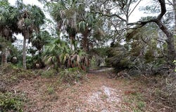 Indiana Ave, Cedar Key, FL 32625