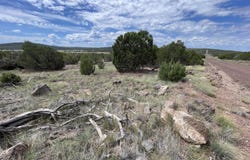35 Burns Road, Concho, AZ 85924