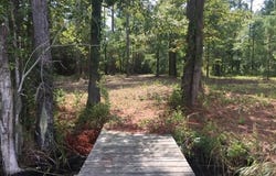 2421 Bailey Point Drive, Belhaven, NC 27810