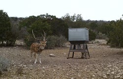 2 SD 45682, Rocksprings, TX 78880