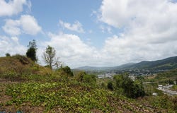 Cayey, Cayey, PR 00692