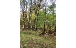 Lakeview lot: 7, Ozark, AR 72847