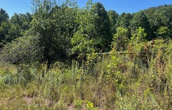 Hamilton Ridge Road, Alderson, WV 24910