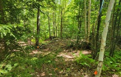 B-2BackLot Pioneer Path, Aurora, ME 04605