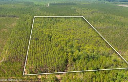 COUNTY ROAD 229, Sanderson, FL 32087
