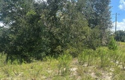 Shirley Street, Interlachen, FL 32148