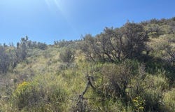 0 none, Pinon Hills, CA 92372