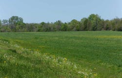 LOVELACE CROSSING Rd, Henning, TN 38041