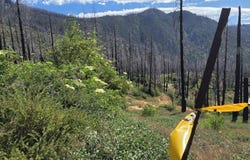 53009 Pine View Drive, Springville, CA 93265