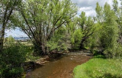2538 Eagle Ranch Road, Eagle, CO 81631