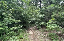 Sylvan Lane, Clinton, AR 72031