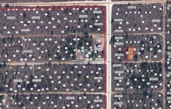 MAPLE Drive, INTERLACHEN, FL 32148