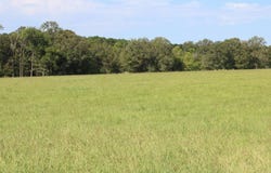 PID 66842 Barnum Loop, Corrigan, TX 75939