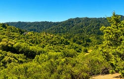 00 Ambrose RD, SARATOGA, CA 95070