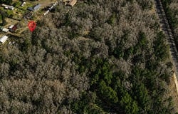 Apple Tree Rd, Gilmer, TX 75644