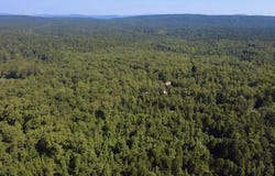 43 HUGHBANKS Hollow, Story, AR 71970